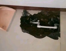 平塘卫生间测漏水多少钱